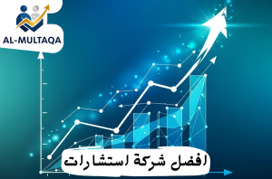 شركة استشارات إدارية لتحسين الأداء المؤسسي في حي النخيل
